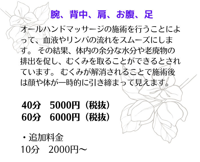 腕、背中、肩、お腹、足、

オールハンドマッサージの施術を行うことによって、血液やリンパの流れをスムーズにします。 その結果、体内の余分な水分や老廃物の排出を促し、むくみを取ることができるとされています。 むくみが解消されることで施術後は顔や体が一時的に引き締まって見えます。

40分　5000円（税抜）
60分　6000円（税抜）

・追加料金
10分　2000円〜